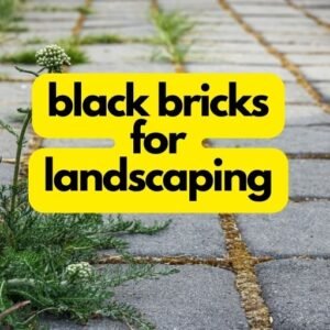 Black Bricks for Landscaping