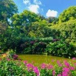 Most Beautiful Gardens in the World