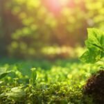 What are the best gardening hacks or tips?