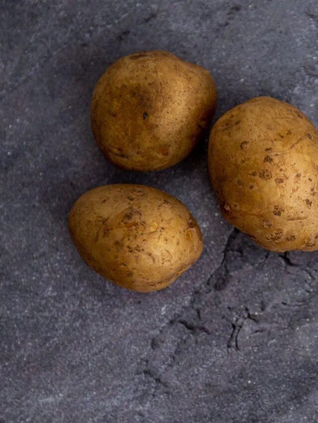 Read more about the article How to Plant Seed Potatoes – Planting, Harvesting at Home – Organic Gardening-ecorganicas