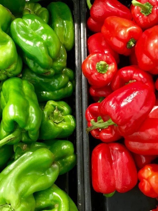 Read more about the article Grow Bell Peppers Easily now – Organic Gardening-ecorganicas
