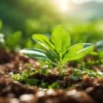 Advantages of Organic Gardening and Farming