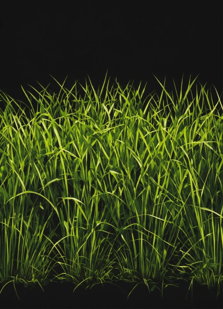 japanese forest grass