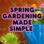 Green Spring Gardens