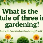 what is the rule of 3 in gardening