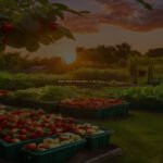 Plant These 7 Vegetables in May for a